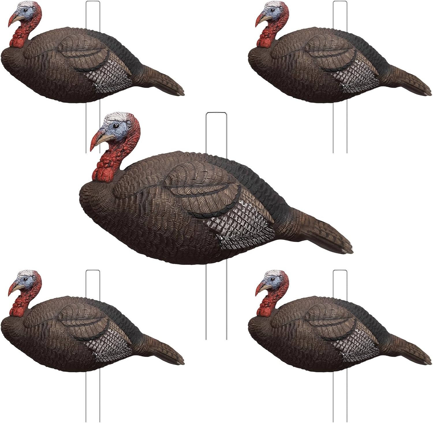 5-Piece 2D Turkey Decoy Set
